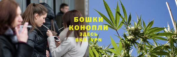 круглые Тавда