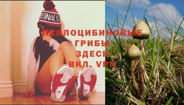 меф Заволжск