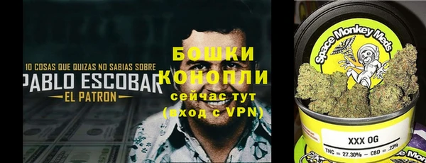 гидра Заволжье