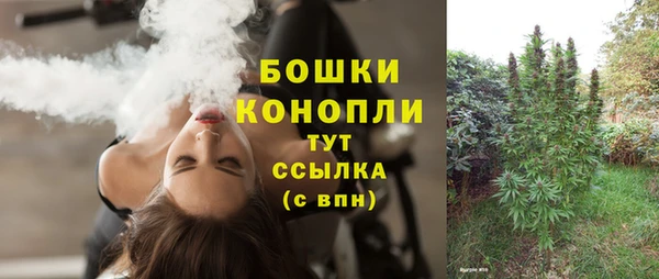 гидра Заволжье