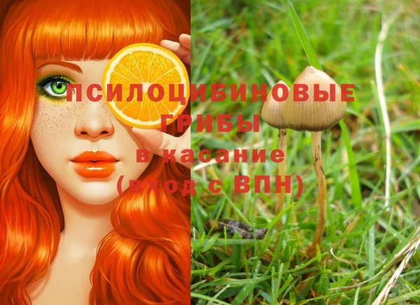а пвп мука Заводоуковск