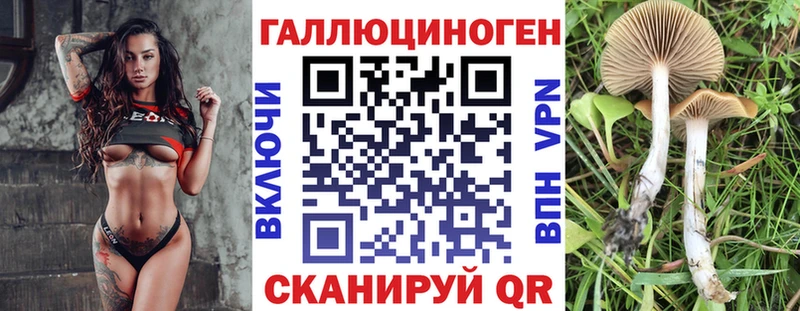 Купить  Черногорск  Галлюциногенные грибы мухоморы 